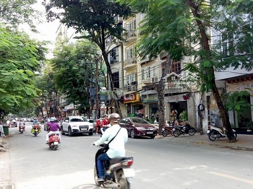 Tin 2 Thị trường BĐS chạm đỉnh 2019 và rơi vào thoái trào năm kế tiếp